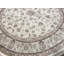 Oriental Area Rug