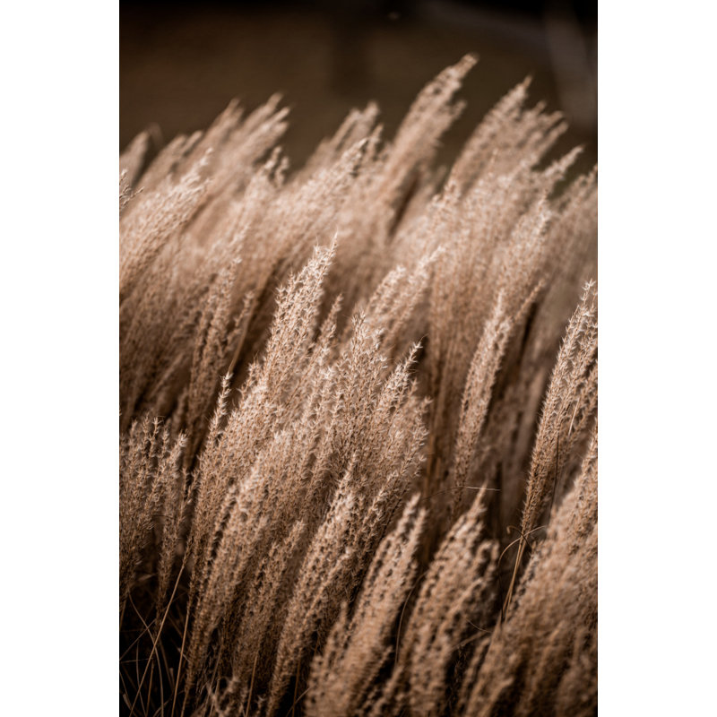 Wrapped Canvas Print, 76.2 cm H x 50.8 cm W