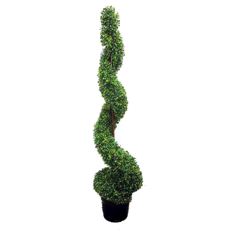 Topiaire de buis en spirale