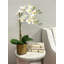 Orchid Arrangement in Fiberstone Pot with Moss