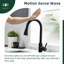 Belfry Kitchen Alsfeld Kitchen Faucet