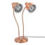 Lumière chauffante à 2 têtes 500W-1250216251
