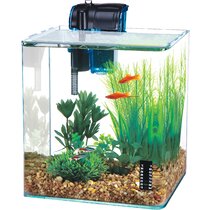 Salt Water Aquariums - Wayfair Canada