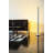 48.5'' Novelty Floor Lamp