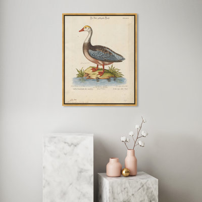 Snow Goose - Painting on Canvas