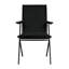 Henderson Upholstered Arm Chair
