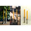Unscented Taper Candle