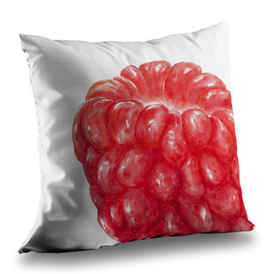 Raspberry Kitchen Illustrative Poly Twill Throw Pillow Insert