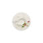 Brillance Fleurs Sauvages Bone China Saucer