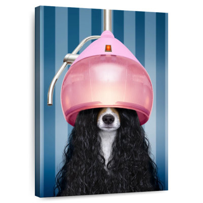Ketti Funny Salon Dog