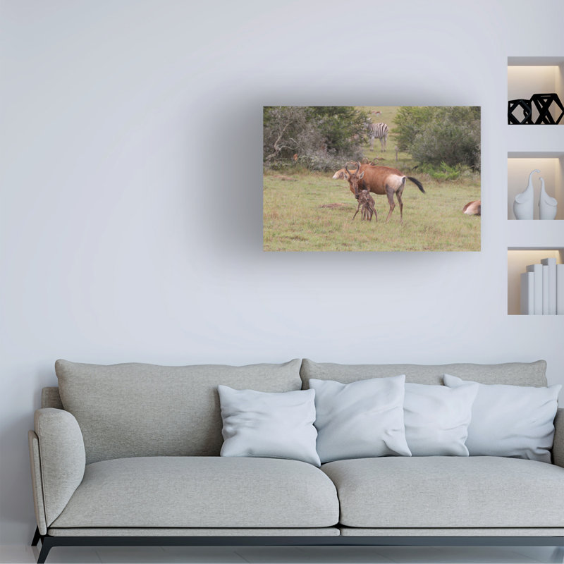 Bolog Bob Langrish Red Hartebeest Canvas Art, 12" H x 19" W