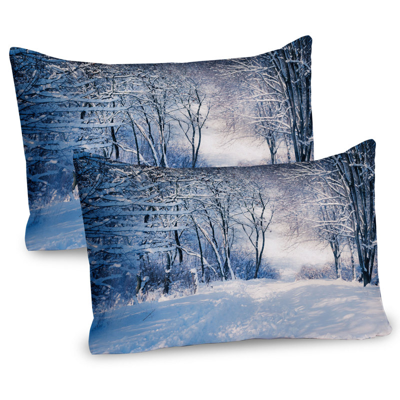 Ensemble de 2 taies décoratives Ambesonne Winter, H 20 po x l 26 po