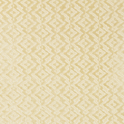 Merchante Velvet Fabric