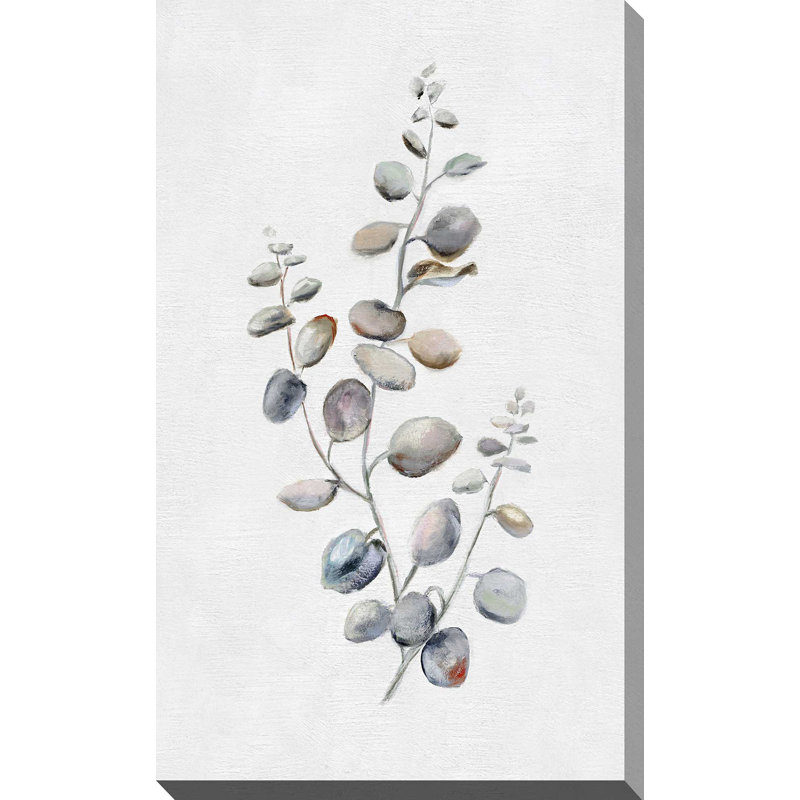 Eucalyptus II par Donna Brooks - Peinture, L 18 po x H 30 po, Toile tendue