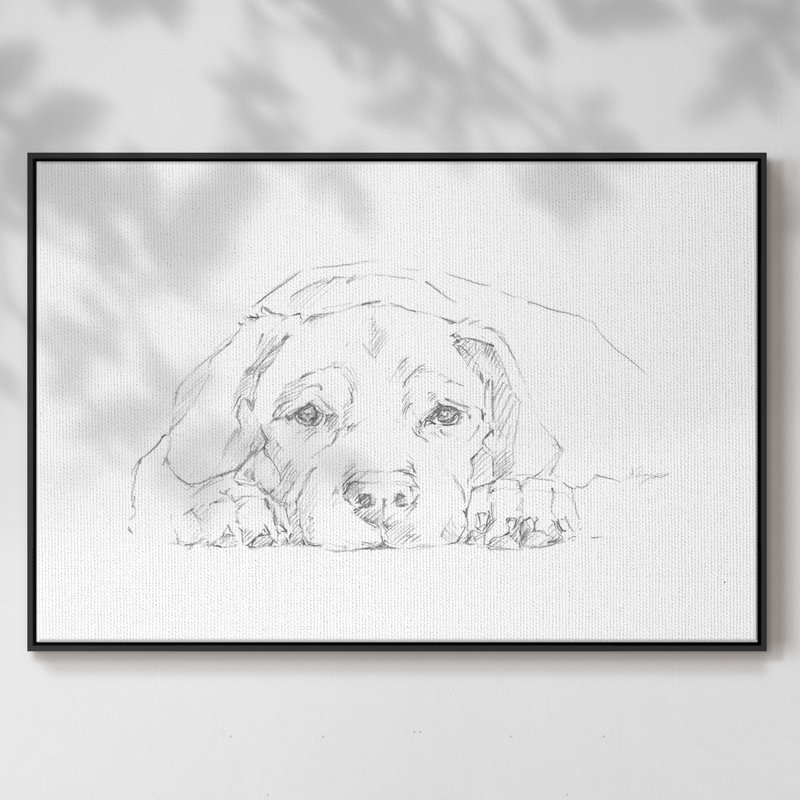 Lazy Dog III, H 17 po x l 25 po x P 2 po, Cadre noir, Pas de tapis