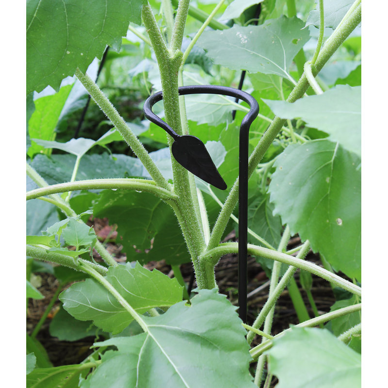 Support à plantes