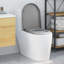 Grey Plastic Standard Adjustable Armrests Toilet Seat Oval-369684997