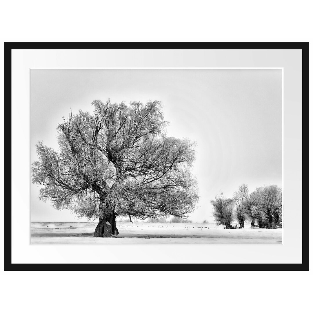 Gerahmtes Poster Bäume im Schnee Nebel