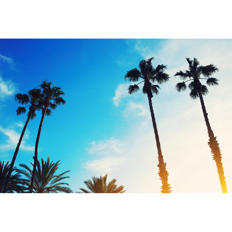 Lush Palm Trees by GaudiLab - Wrapped Canvas Print, 30cm H x 46cm W x 3.8cm D