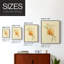 Dappled Oranges I-Premium Framed Print -Ready to Hang - No Nails Required - No Nails Required-107997965-107997970