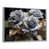 Silver Floater Framed