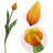 Silk Arrangement-1130139116