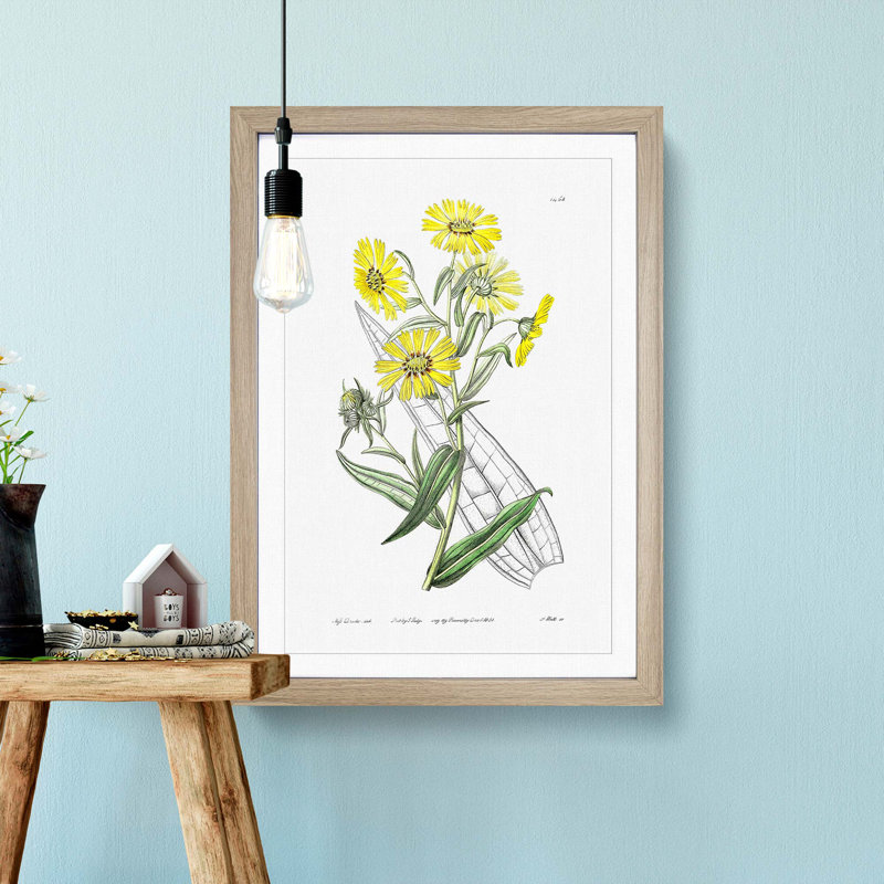 Yellow Daisies - Picture Frame Painting Print, 65cm H x 48cm W x 2cm D, Oak Framed