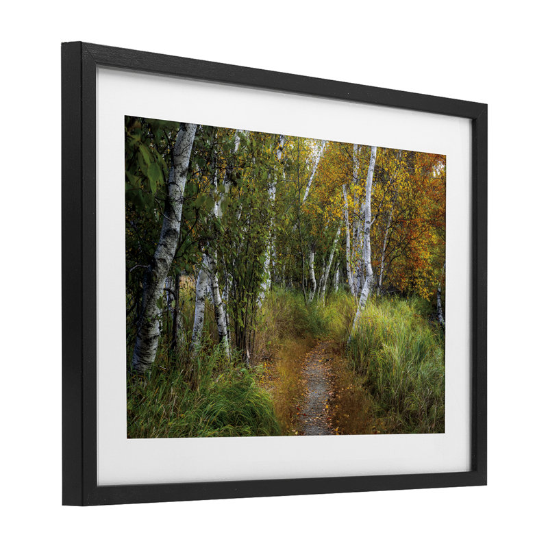«Walk In The Hemlocks Forest», reproduction encadrée sous verre, conception de D. Burt, H 14 po x l 20 po, Cadre noir minuit