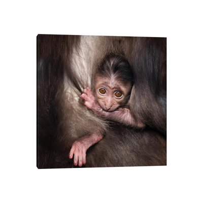 " Monkey Baby " Painting