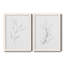 «Botanical Gesture I», reproduction de dessin-1021500929-1021500932-1021500936