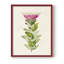 «Pretty Pink Botanicals IV», reproduction encadrée - bois massif-1364362500-1364362621