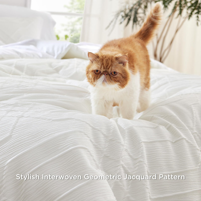 Bedsure Jacquard Comforter Bedding Set