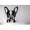 Adhésif décoratif pour chien, décor pour chien