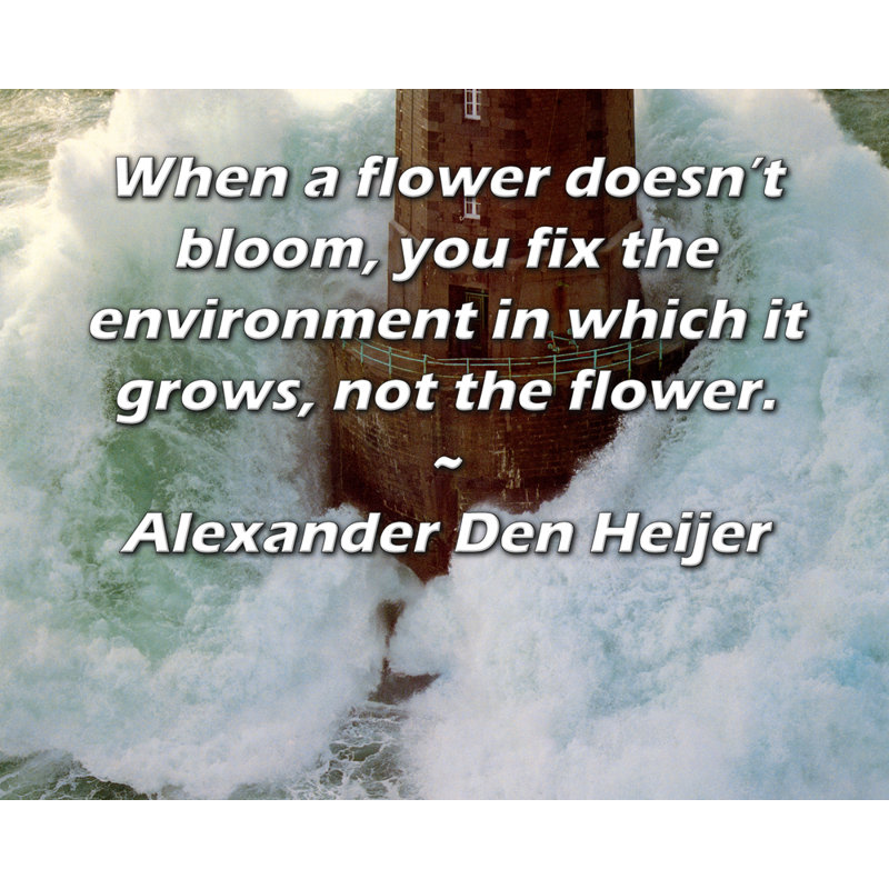 Toile tendue ArtsyQuotes par Alexander Den Heijer: «Lorsqu'une fleur ne fleurit pas, vous fixez l'environnement dans lequel elle pousse, pas la fleur.»