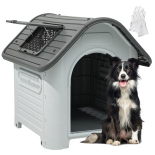 Wayfair  Dog Houses You'll Love in 2024