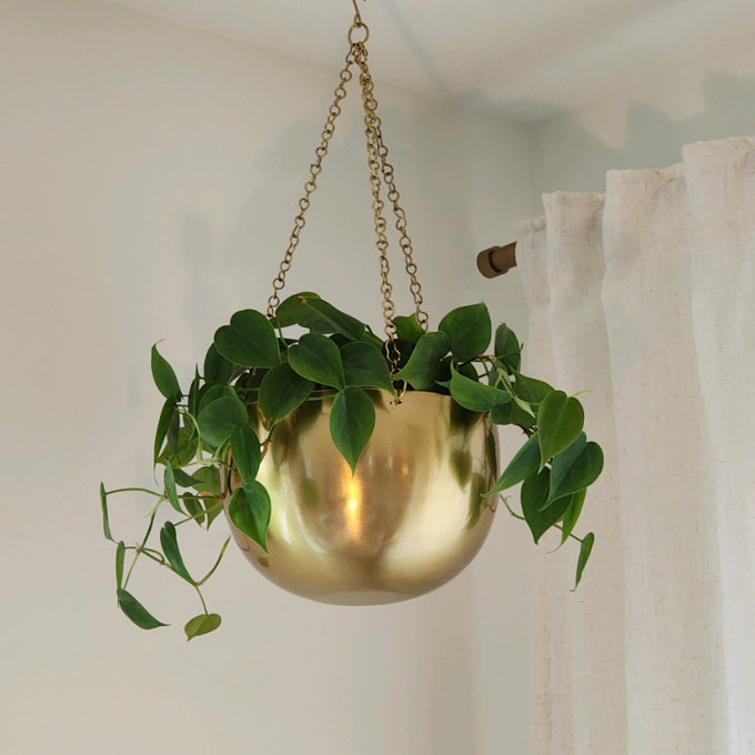 Mistana Metal Indoor Outdoor Hanging Dome Indoor Outdoor Wall Planter with  Chain & Reviews | Joss & Main