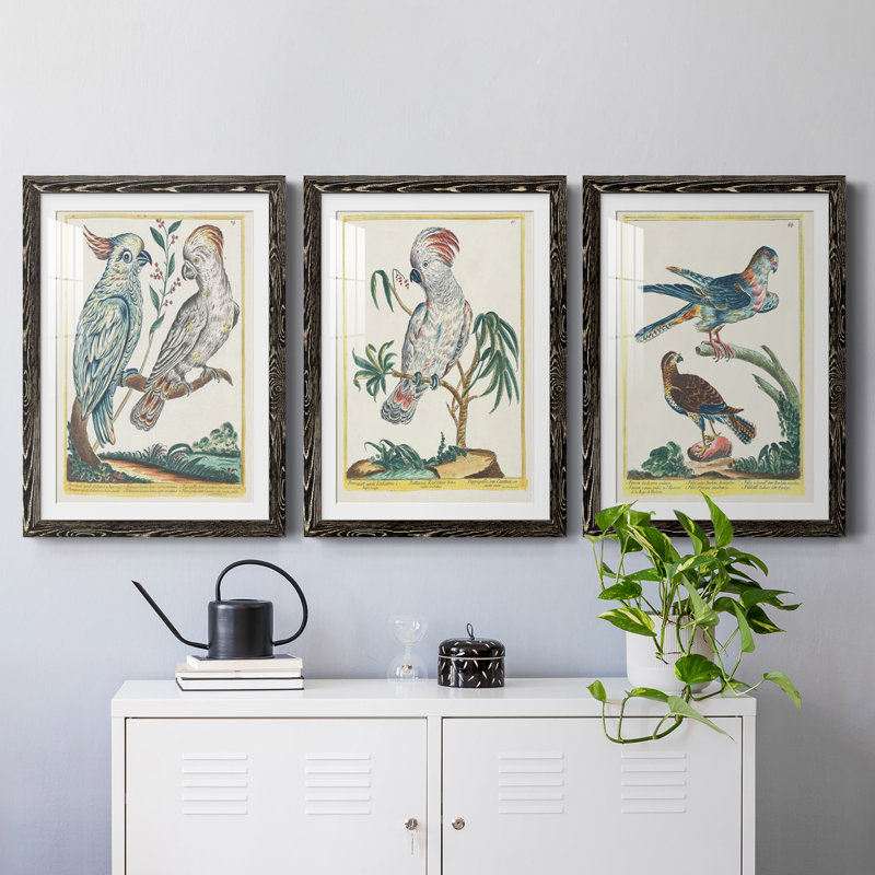 Pastel Birds I Premium encadré mat - prêt à être accroché, Noir, H 24 po x l 54 po x P 1,5 po