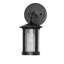 1 - Light LED Armed Sconce