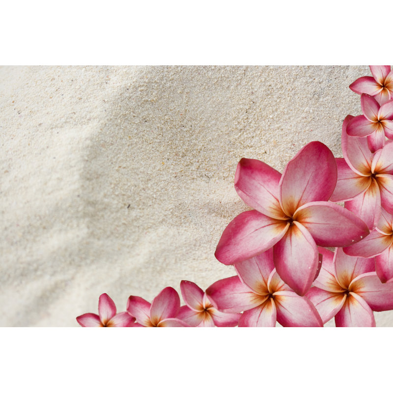 Frangipani by Naomiwoods - No Frame Art Prints on Canvas, 30cm H x 46cm W