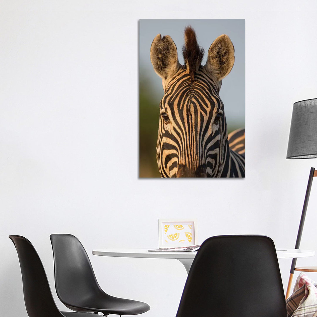 Zebra Facial Pattern South Africa by Mogens Trolle - Wrapped Canvas Print