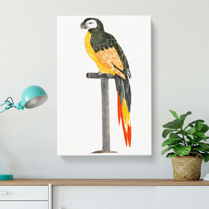 A Perched Parrot by Johan Teyler - Wrapped Canvas, 50cm H x 35cm W x 3cm D