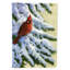 Drapeau de jardin à 2 côtés red cardinal par daphné baxter-16653081
