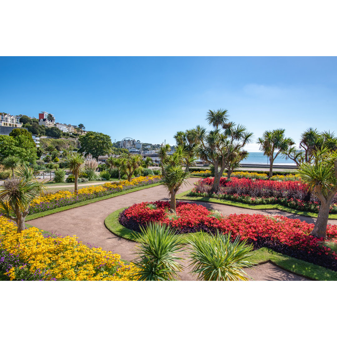 Bunte Blumen im Abbey Park in Torquay, Devon von Thomas Faull - Druck