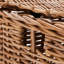Arviso Wicker Trunk