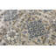 Hand-Knotted High-Quality Cream and Blue Area Rug
