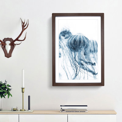 A Blue Jellyfish - Framed Print