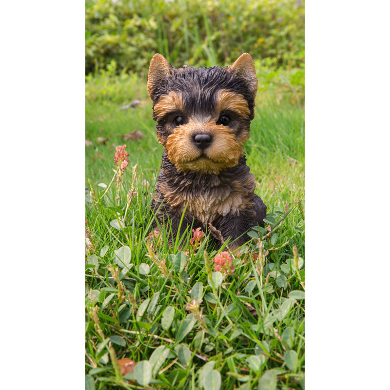 Realistic Brown and Black Yorkshire Terrier Puppy Statue