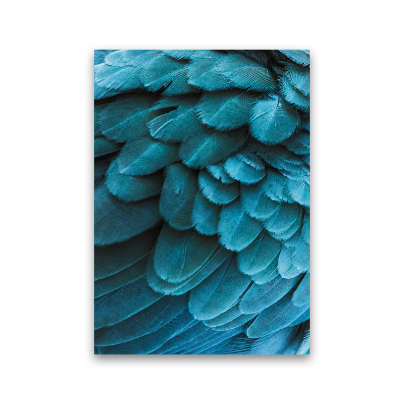 Blue Feathers by Victoria Frost - Print, Unframed, 42cm H x 30cm W x 1cm D