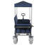 Chariot multifonctionnel avec capacité de 500 lb, auvent amovible et rangement de 180 litres-124426519