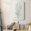 «Botanical Study In Sage I», reproduction sur toile tendue-1406534654